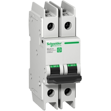 [M9F42204] INTERRUPTOR CIRCUITO EN MINIATURA SCHNEIDER ELECTRIC MULTI 9 C60BP 2 POLOS